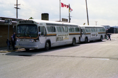 4909 SN_0304