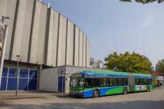 MG_0189-copy