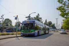 MG_0196-copy