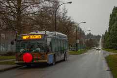 MG_0339-copy
