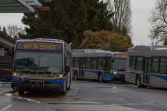 MG_1709-copy-1