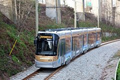 flexity2