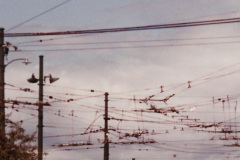 PRINT_B000103