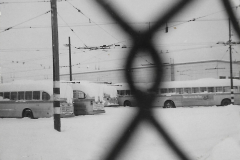 PRINT_B000183