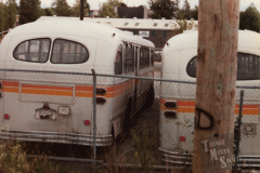 Scan0049