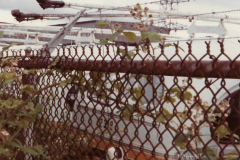 Scan0074