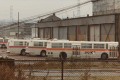 Scan0273