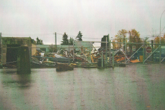 scan_20231105-135054_1