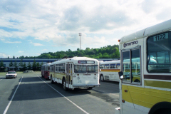 Epson_Scan_492