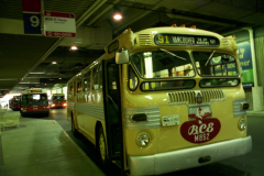 Epson_Scan_561