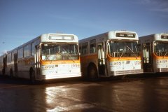 3101 3139 img880 jan76