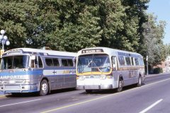 vic 0785 img257 jul79