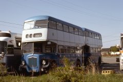 ex derby 160 img520 may79