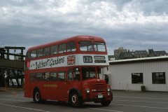 gray line 179 img511 jul79