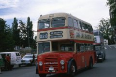 gray line 28 img501 jul79