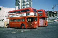 gray line img298 may73