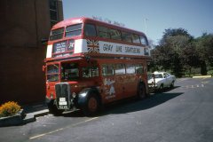 gray line rt2456 img297 may73