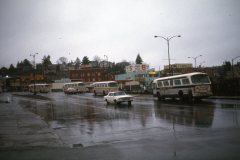 nanaimo 254 img336 feb74