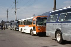 wv 6758 img474 mar81