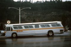 wv 0087 img444