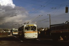 2144 img740 mar80