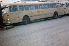 2231 img795