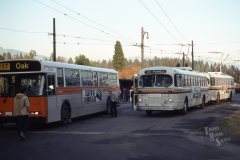 2271 3305 img893 jan84