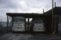 alpine coach lines img054 aug69