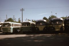 ex kitchener 141 133 ex sask 168 172 img568 jul74