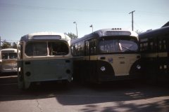 ex kitchener 133 ex saskatoon 168 img546 jul74