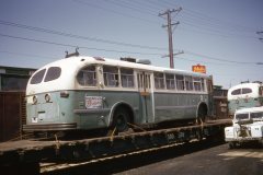 ex kitchener 89 34b img567 jun73