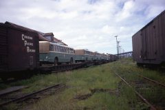 ex kitchener img562 may73