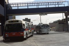 fan trip 2416 5413 img910 aug88