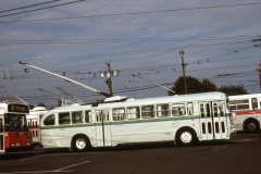 fan trip 2416 img949 oct88