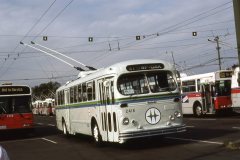 fan trip 2416 img950 oct88