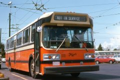 flyer d800 demo otc img788 may78