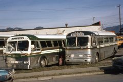 green line charters img045 nov76