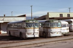 green line charters img097 mar79