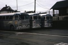 greyhound G132 G120 G119 img089 jan68