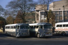 greyhound 2584 2477 img090