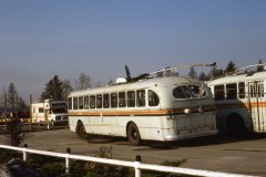 retired brill trolleys img913 oct86