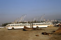 retired brill trolleys img914 oct86