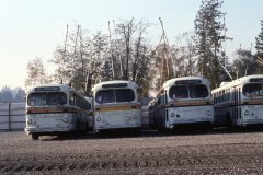 retired brill trolleys img915 oct86