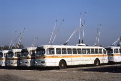 retired brill trolleys img916 oct86
