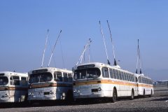 retired brill trolleys img917 oct86