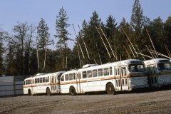 retired brill trolleys img918 oct86