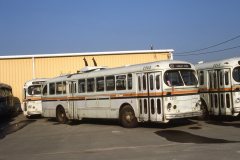 retired brill trolleys img928 oct86