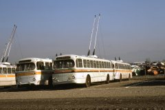 retired brill trolleys img929 oct86