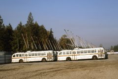 retired brill trolleys img931 oct86