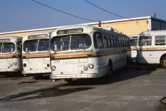 retired brill trolleys img934 oct86